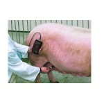 Máy khám thai lợn Draminsky PDP