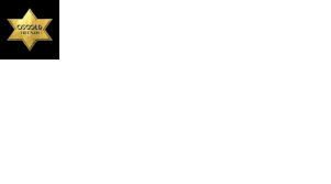 MASTER LOCK logo